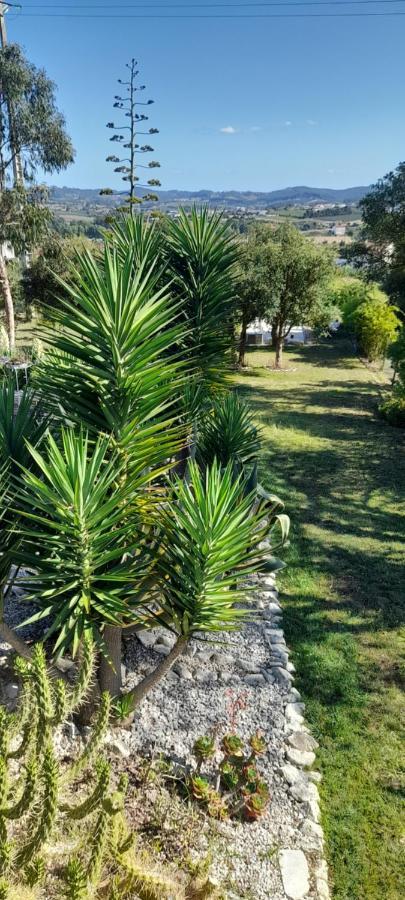 Gite Canto Azul Casal da Carreira Εξωτερικό φωτογραφία